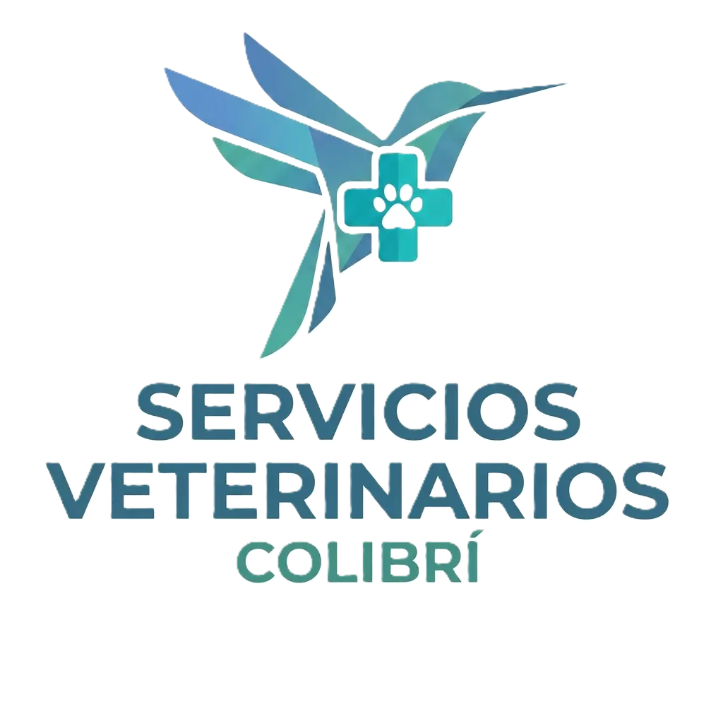 My Website